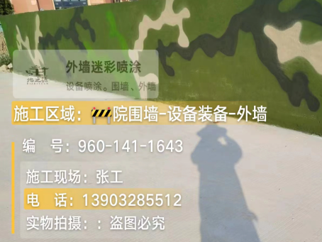 昌吉 迷彩漆喷涂价格（按平方米计费）